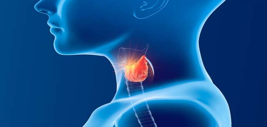 endocrinologie Cluj, medic specialist endocrinologie