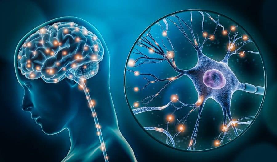 clinica neurologie Cluj tratament neurologic Cluj clinica neurologie Cluj tratament neurologic Cluj